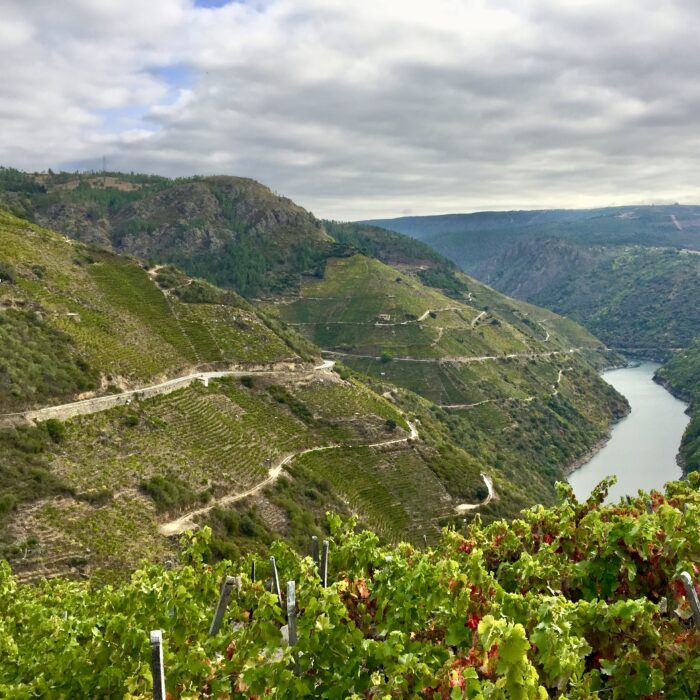 Steillagen in Ribeira Sacra